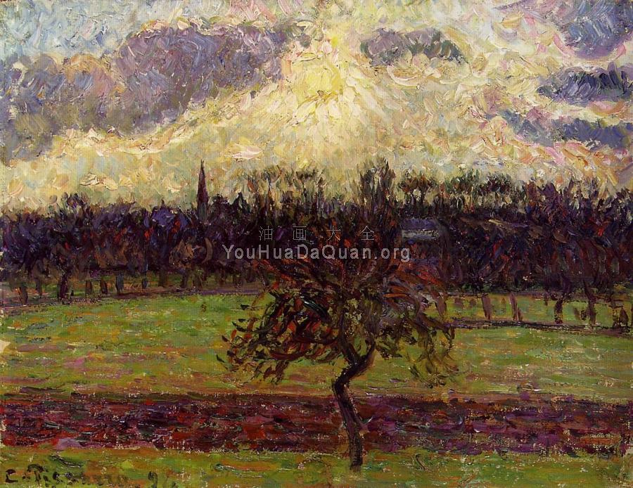 The Fields of Eragny, the Apple Tree - 卡米耶·毕沙罗